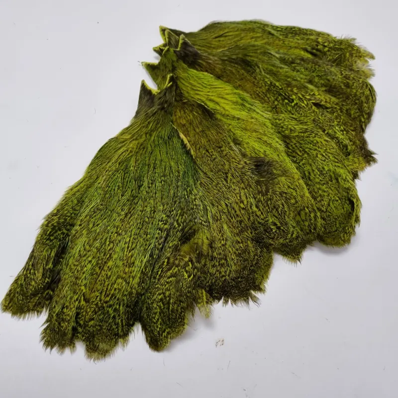 Whiting Coq de Leon Hen Cape in Speckled Fl.Green Chartreuse-4